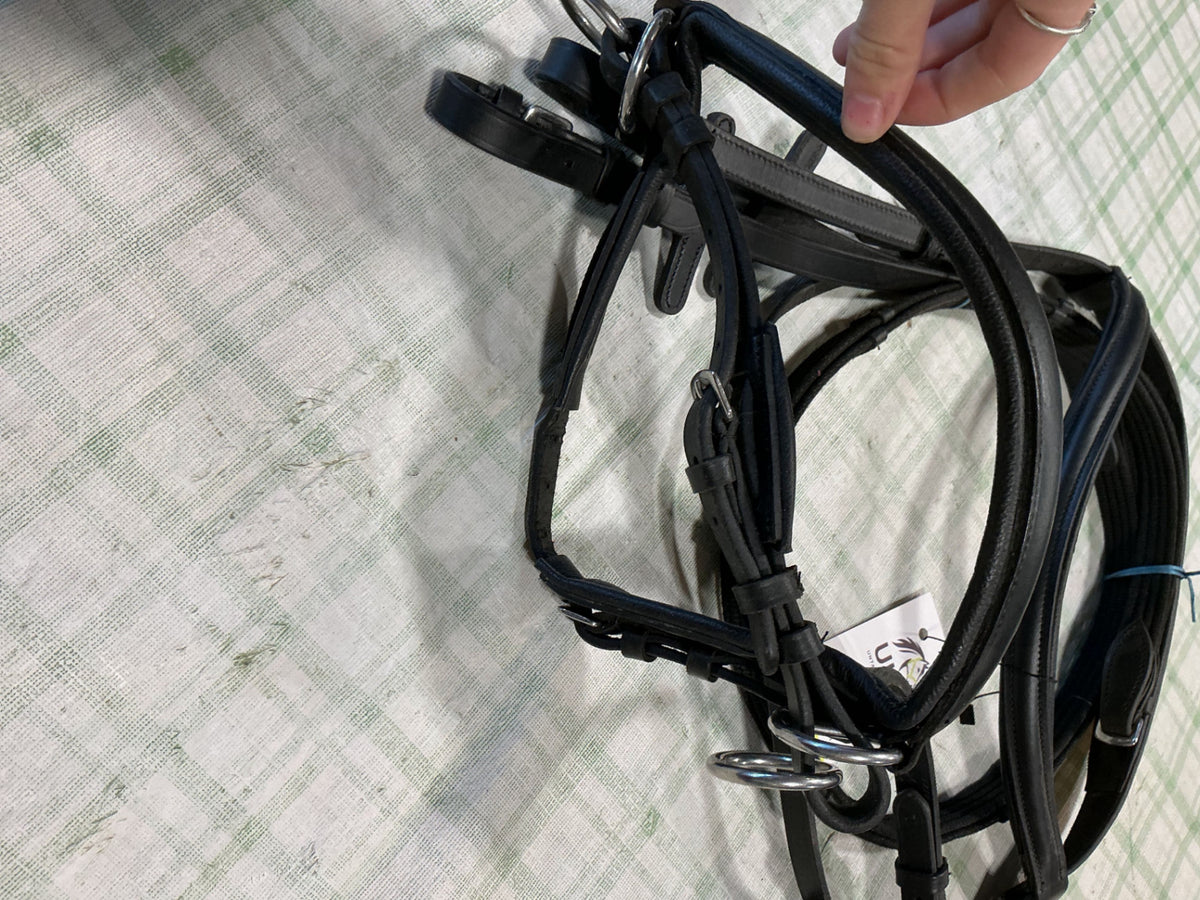 bitless bridle english 