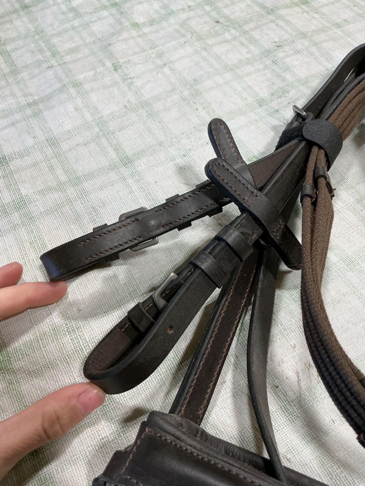 english bitless bridle 