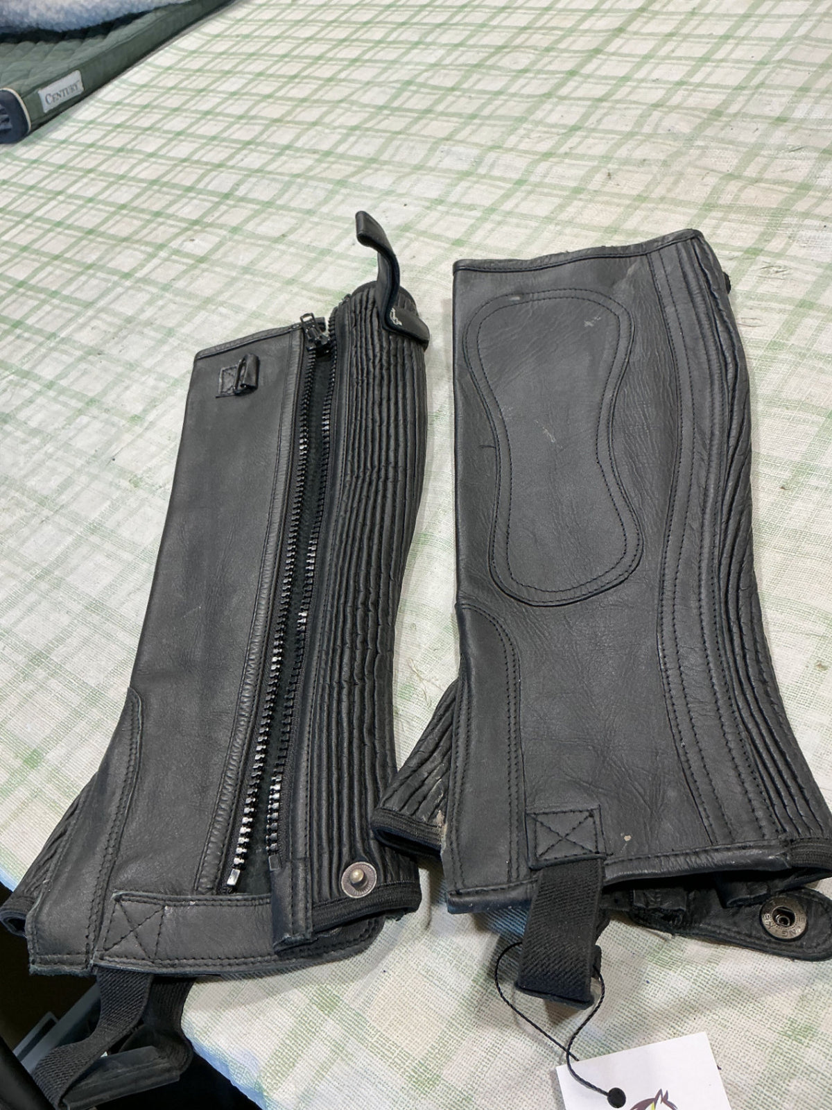 english half chaps medium 