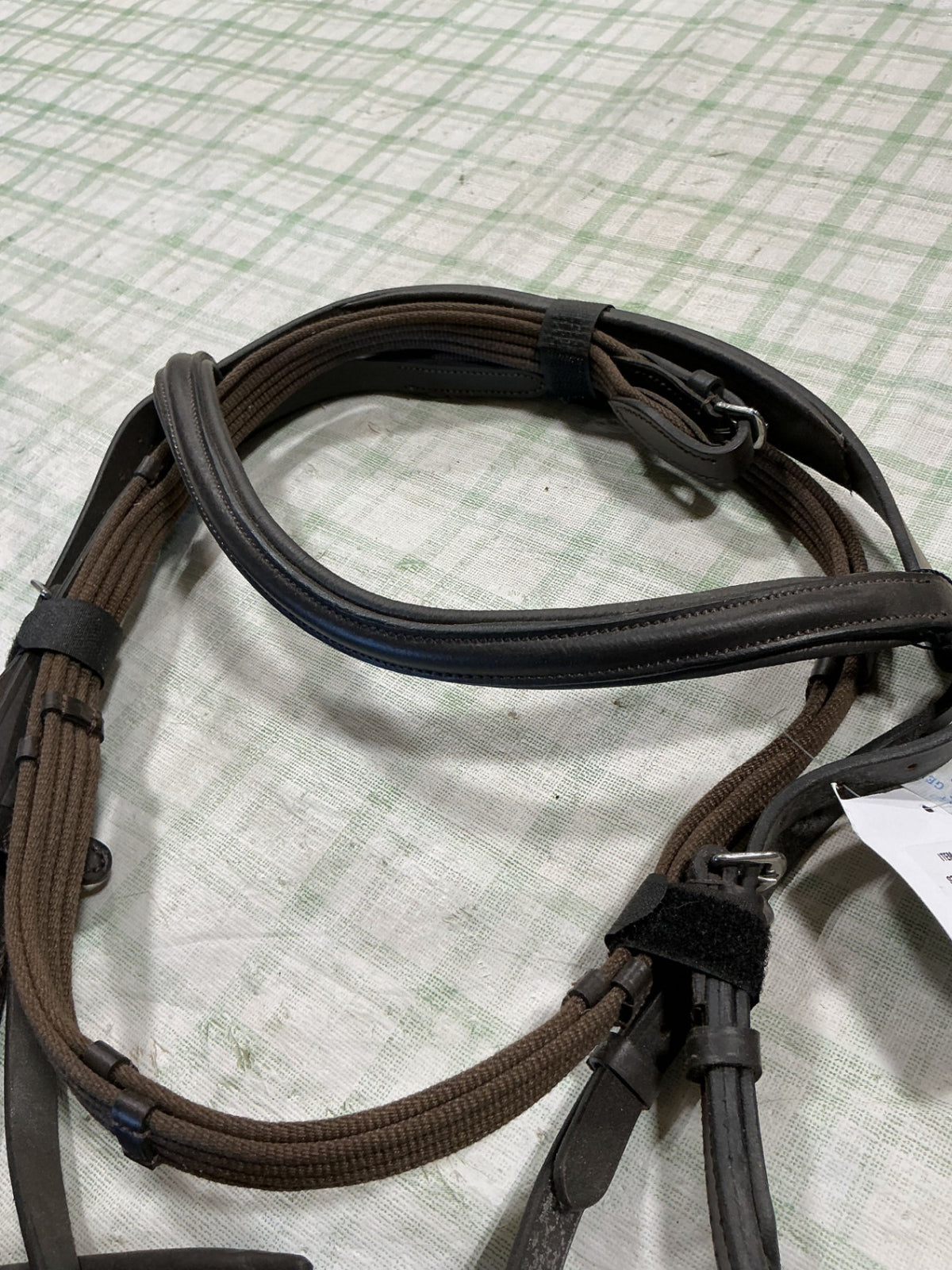 english bitless bridle 