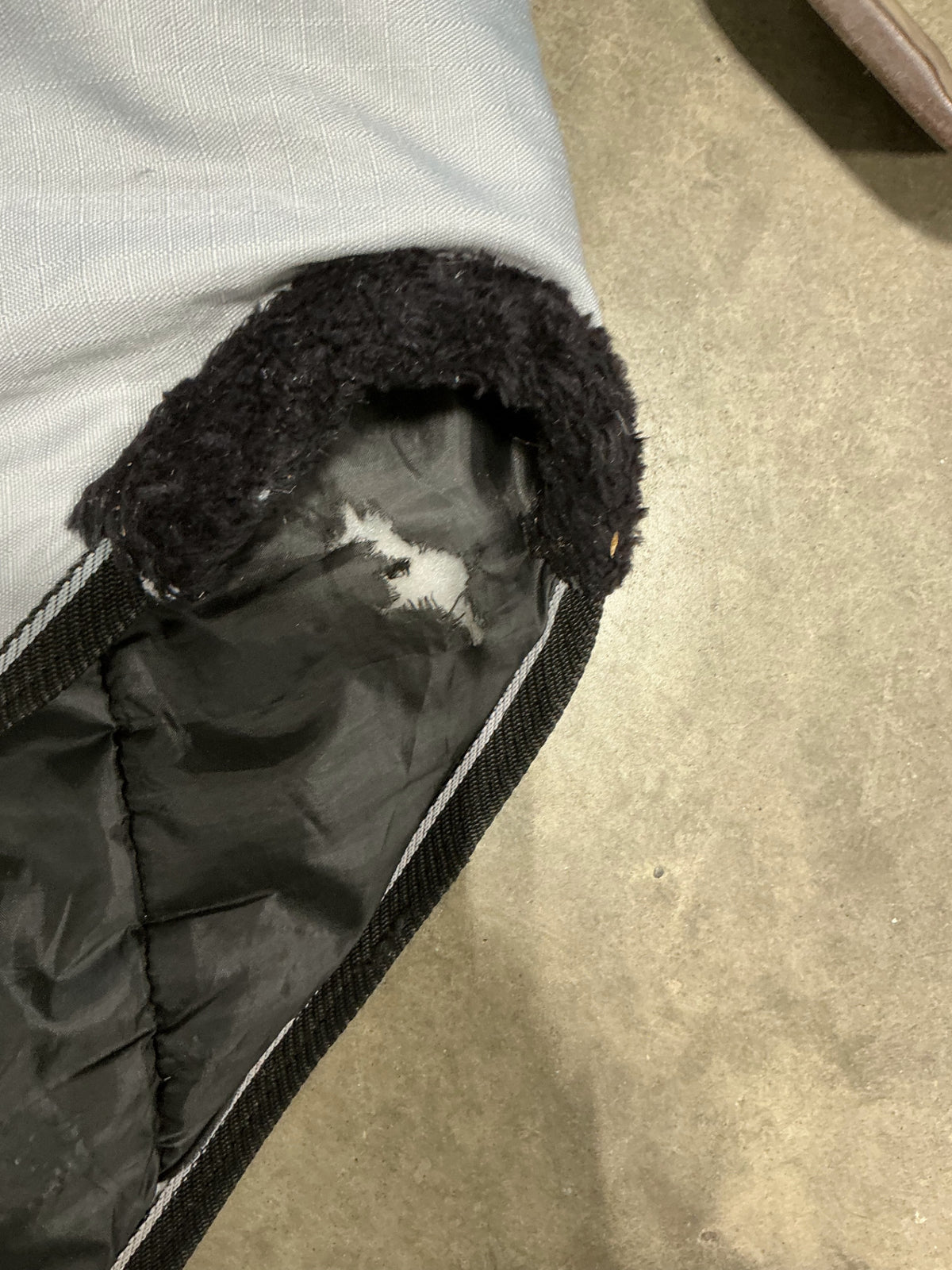 winter blanket 64" 