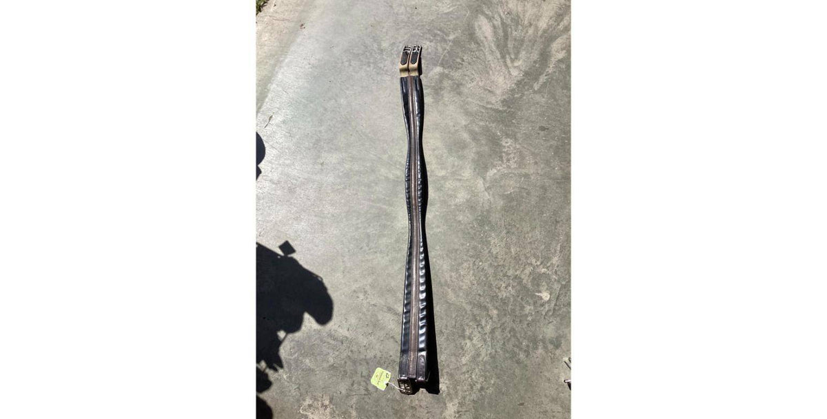 RGL11A=Elastic1End52"