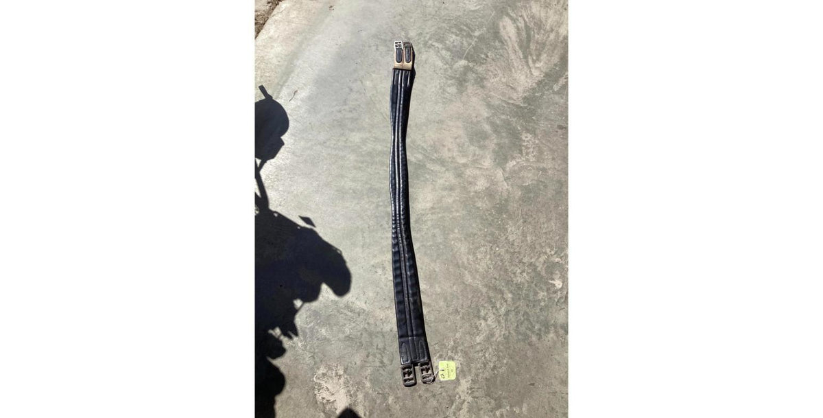 RGL11A=Elastic1End52"