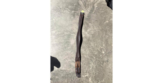 RGL11C=Elastic1End44"