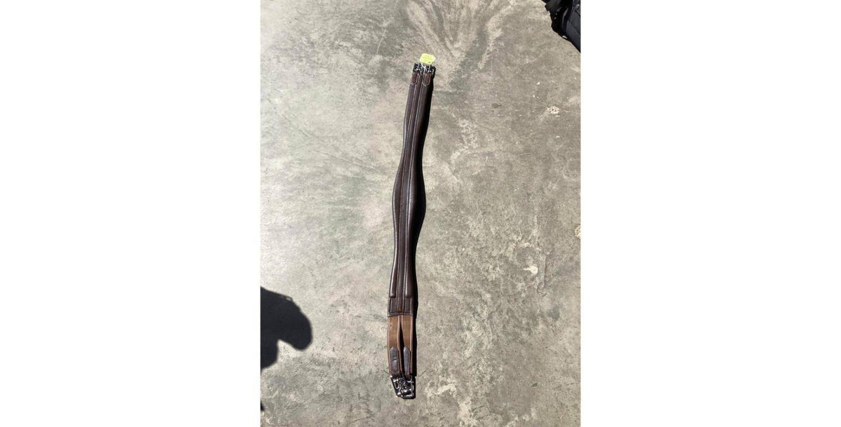 RGL11C=Elastic1End44"