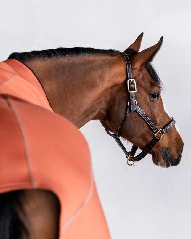 Fit Blanket: Copper / Extra-Large (81-84)
