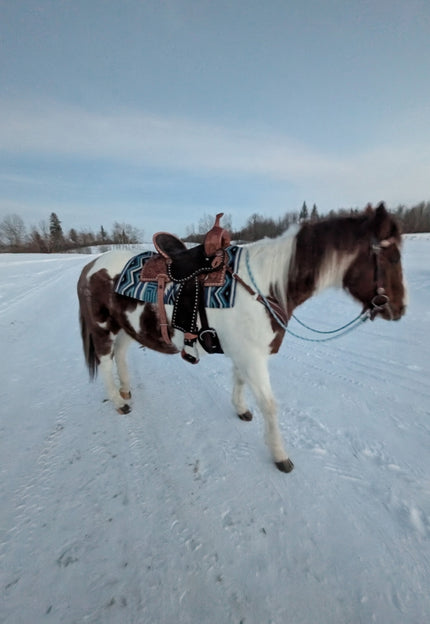 <strong>Love my New</strong> Saddle !! Bridle & Cinch
