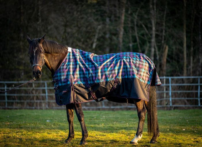 Champion 200g Medium Turnout Blanket – Horse