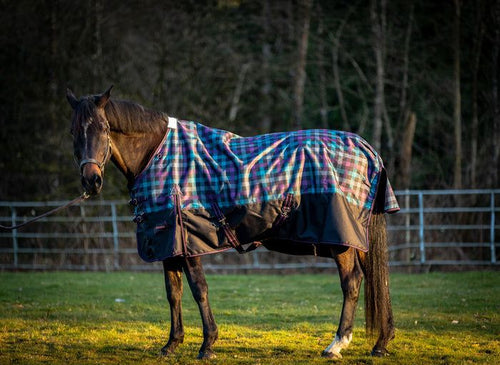 Champion 200g Medium Turnout Blanket – Horse