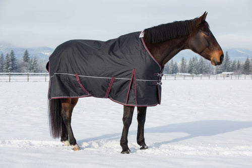 Champion 400g Heavy Turnout Blanket – Horse