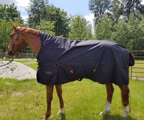 Champion High Neck Rain Sheet – Horse