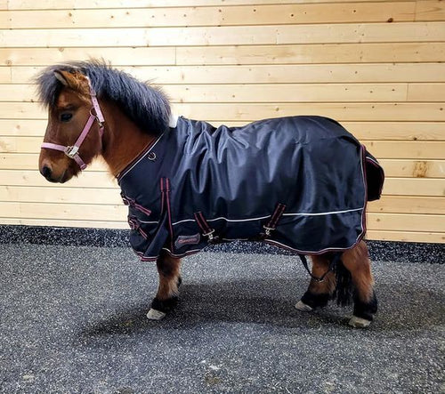 Champion 200g Mini Turnout Blanket