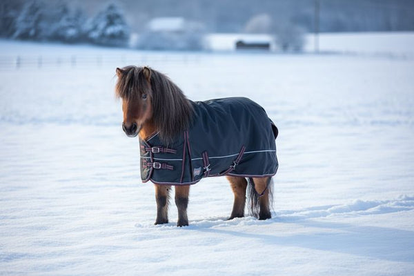 Champion 400g Mini Turnout Blanket