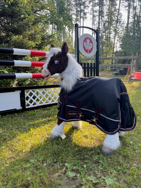 Champion Mini Rain Sheet