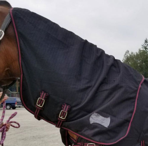 Champion Neck Cover – 100g Fill