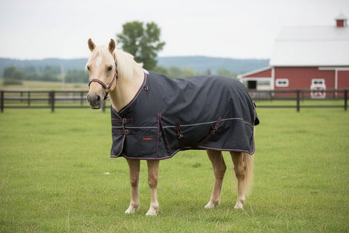 Champion 100g Pony Turnout Blanket