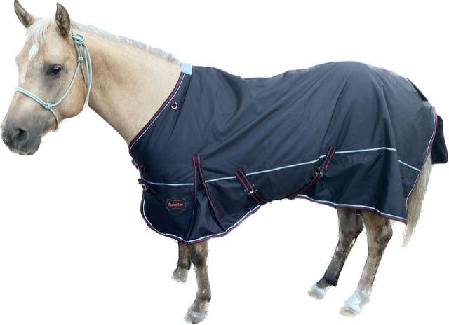 Champion 200g Pony Turnout Blanket