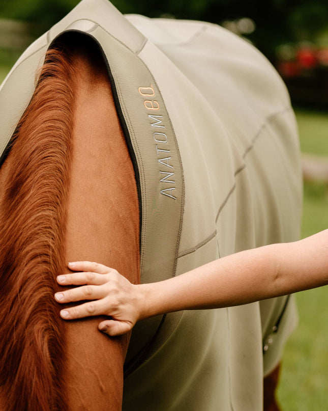 Fit Blanket: Olive / Medium-Wide (75-78)