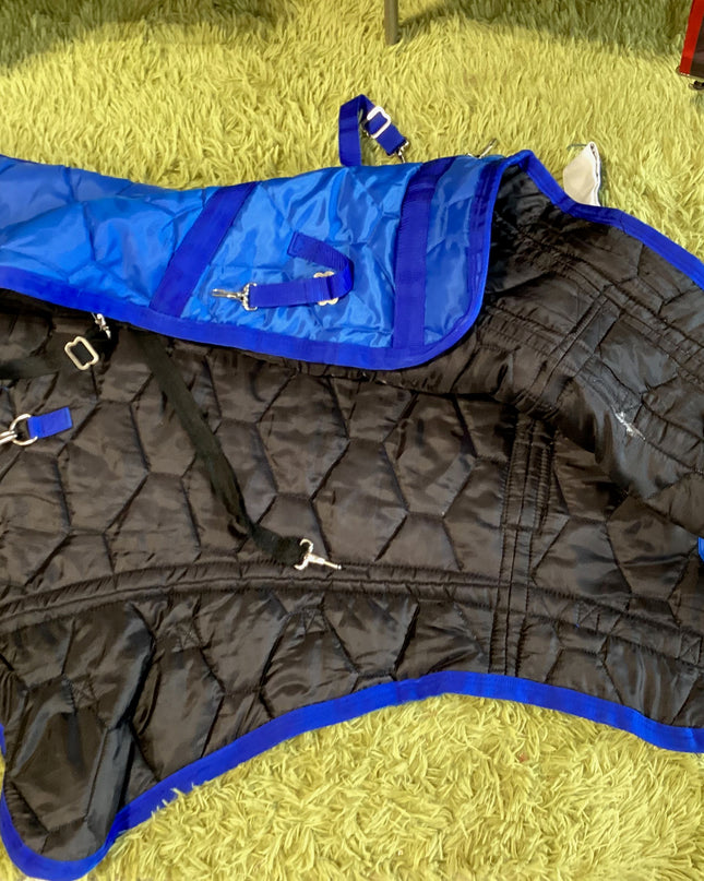 Neck Only Winter  Blue
