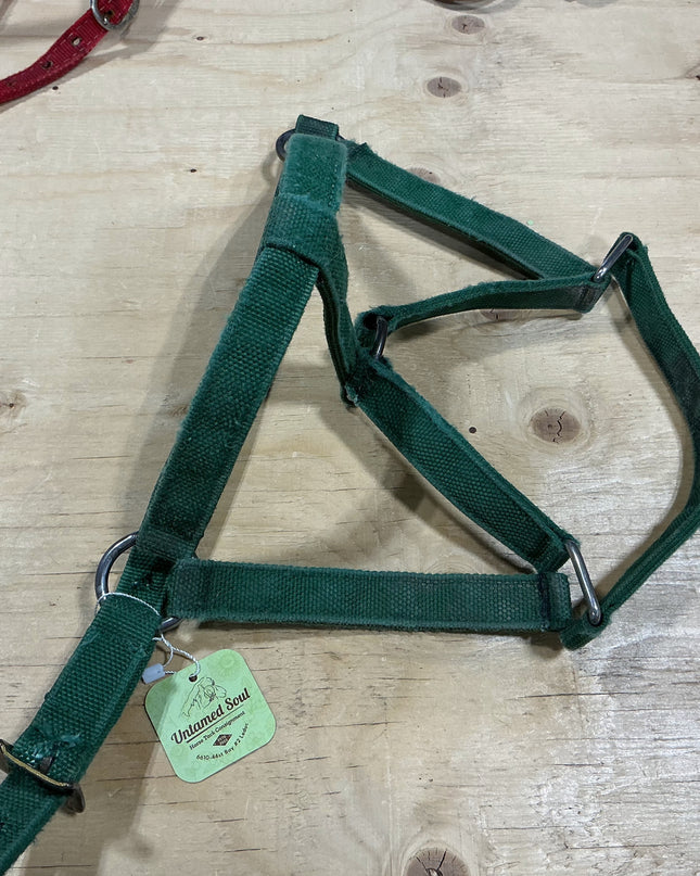 Halter nylon green