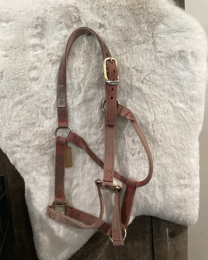 Halter Nylon Pink with Cheek Snap