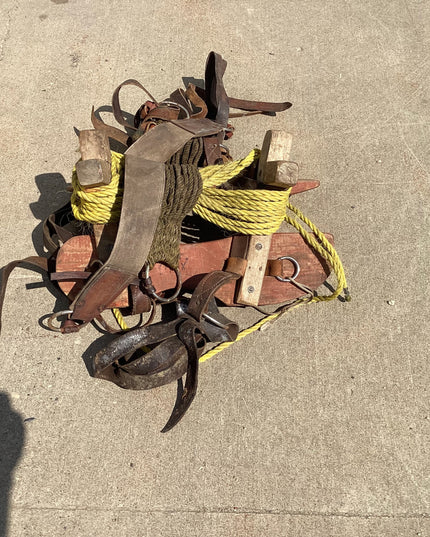 Sawbuck Yellow Rope #1