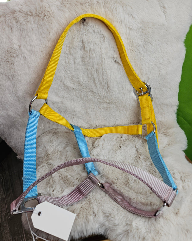Halter Nylon Full Horse Blue/Yellow