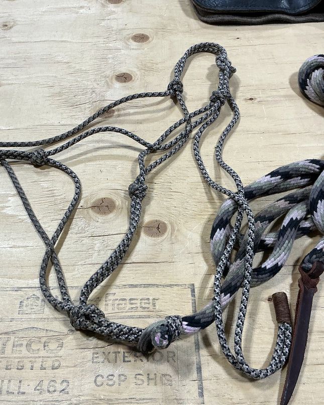 Rope Halter and Lead