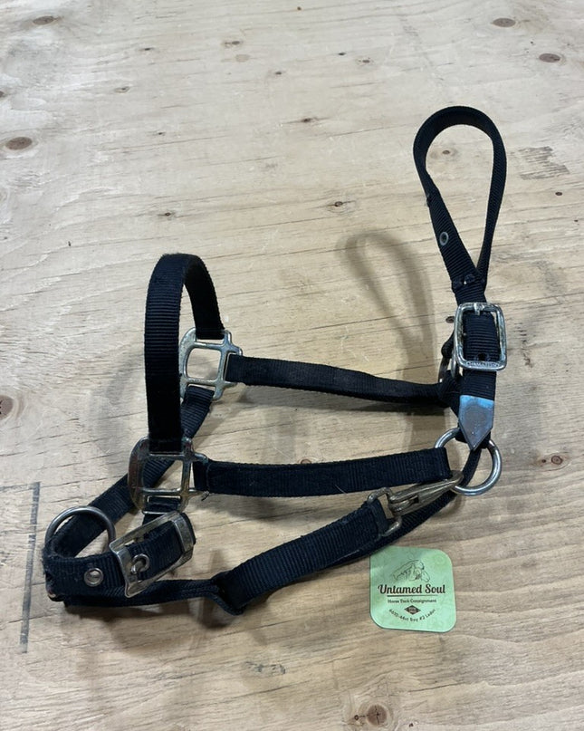 Halter Arabian Style Black Nylon