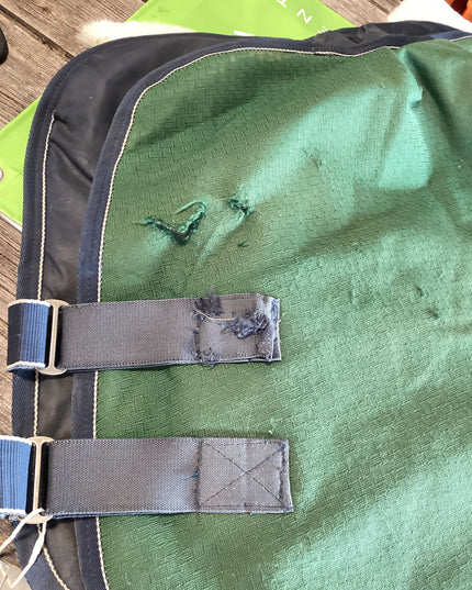 Neck Only Winter Green Blue Trim