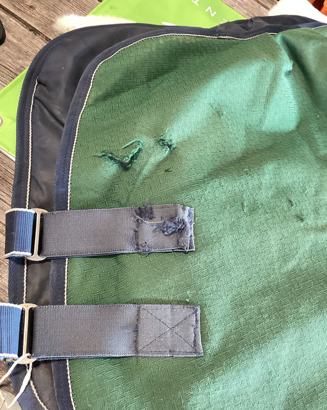 Neck Only Winter Green Blue Trim
