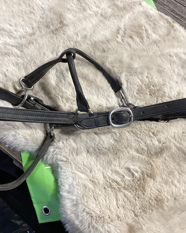 Halter Leather  Larger Size