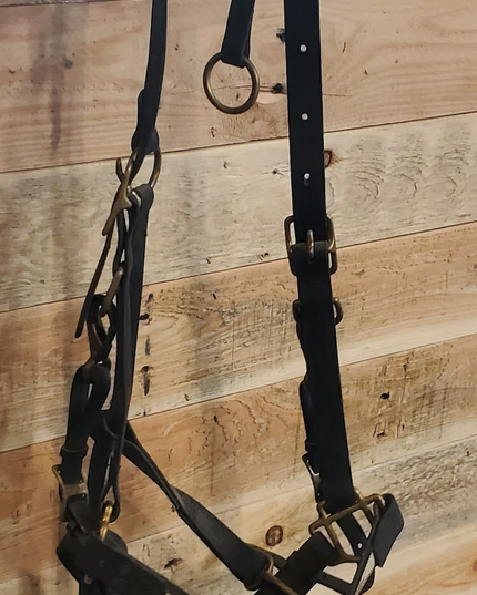 Halter Show Leather
