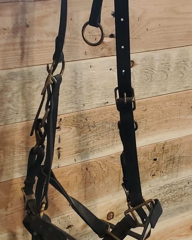 Halter Show Leather