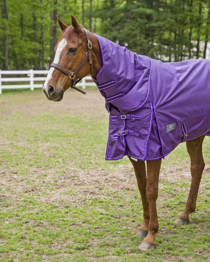 Winter Blanket Detachable Neck Blanket: Purple, 75