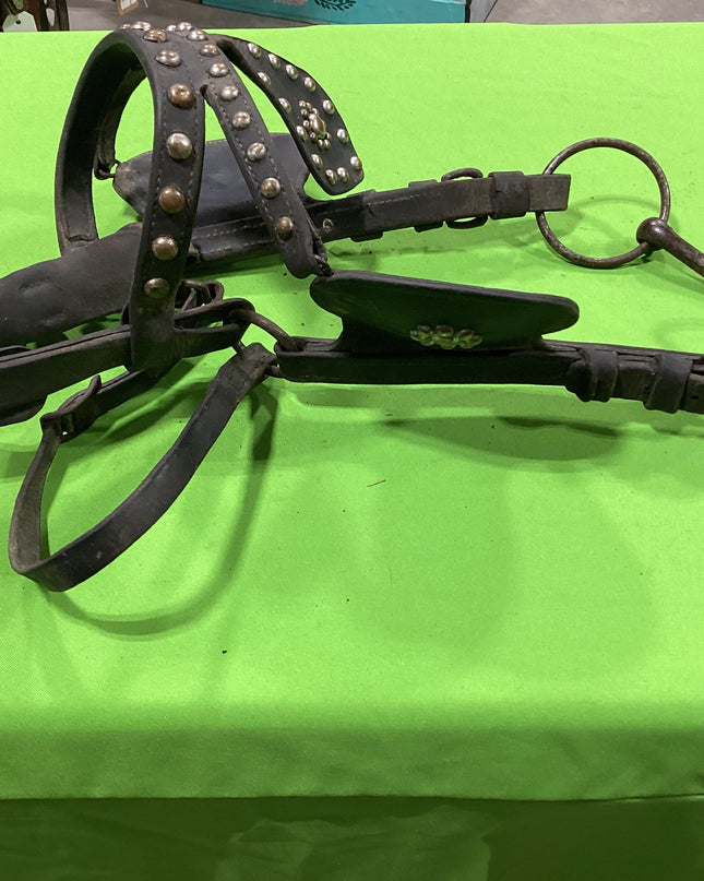 Draft Leather Bridles Older