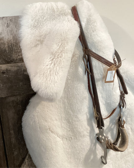 Hackamore Western Headstall  with e #2