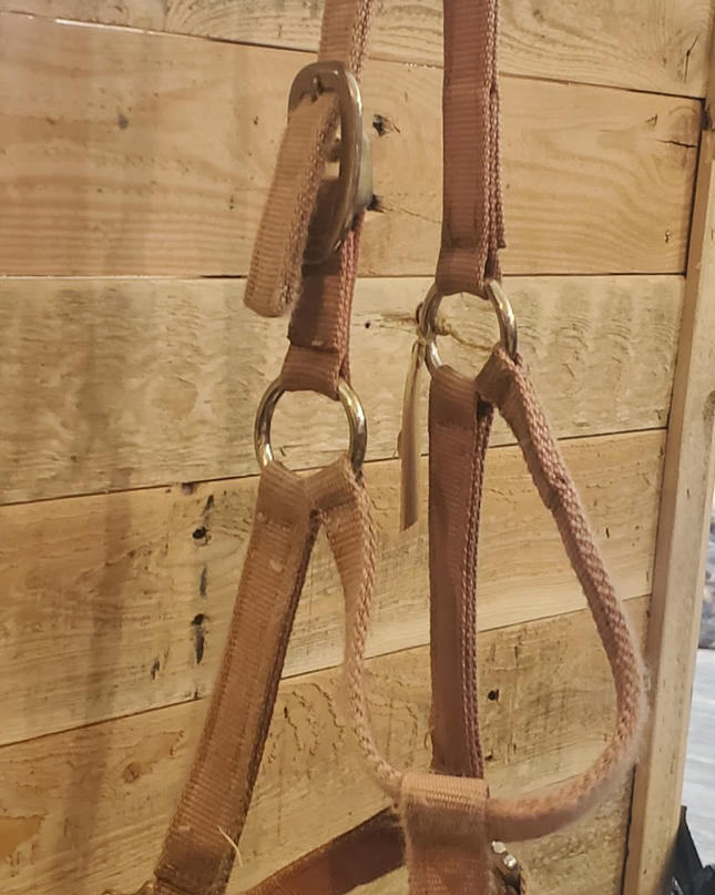 Halter Small Pink