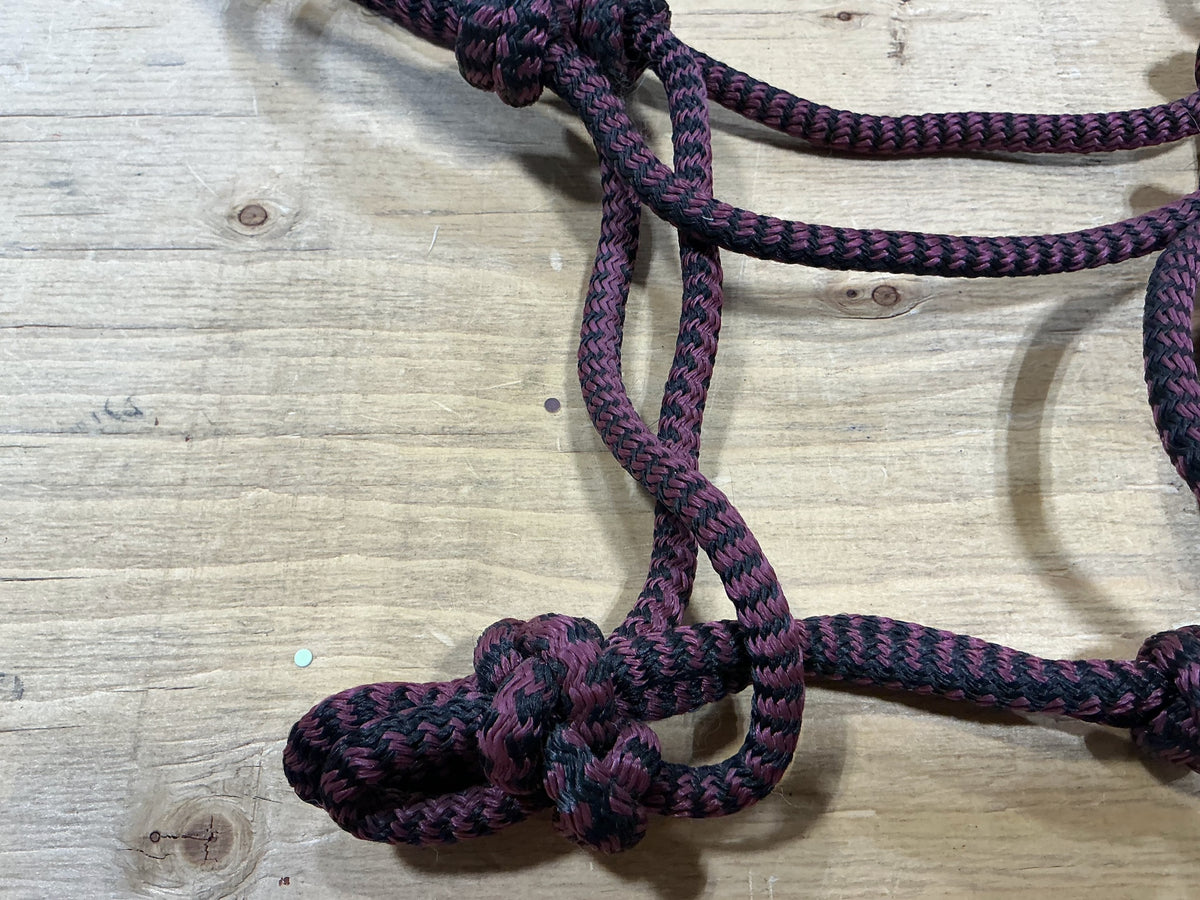 Halter – Rope, Burgundy/Black | Used