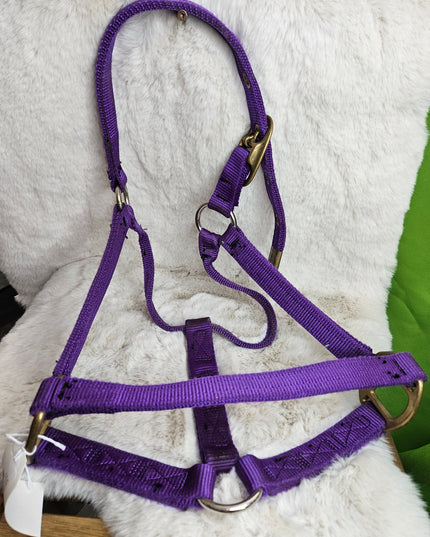 Halter Nylon Full Horse Purple
