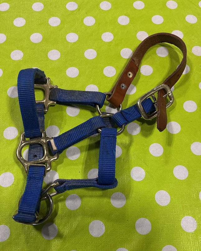 Halter with Leather Strap Blue Pony