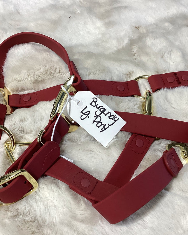 Halter Large Pony Burgundy iCavalos Collection
