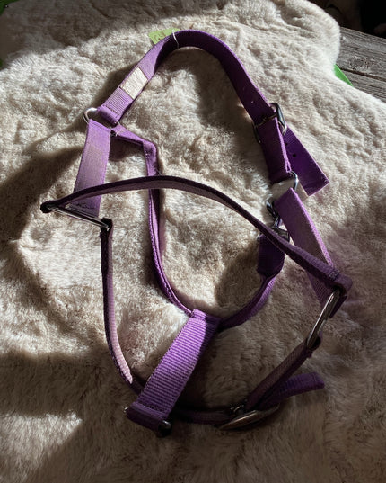 Halter Nylon Purple Guess Average Size