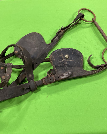Draft Leather Bridles Older