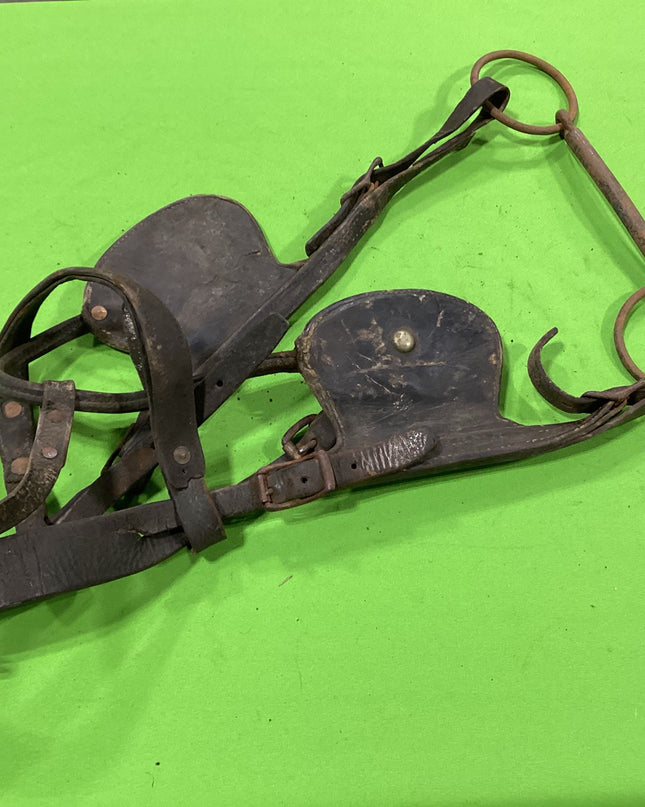 Draft Leather Bridles Older
