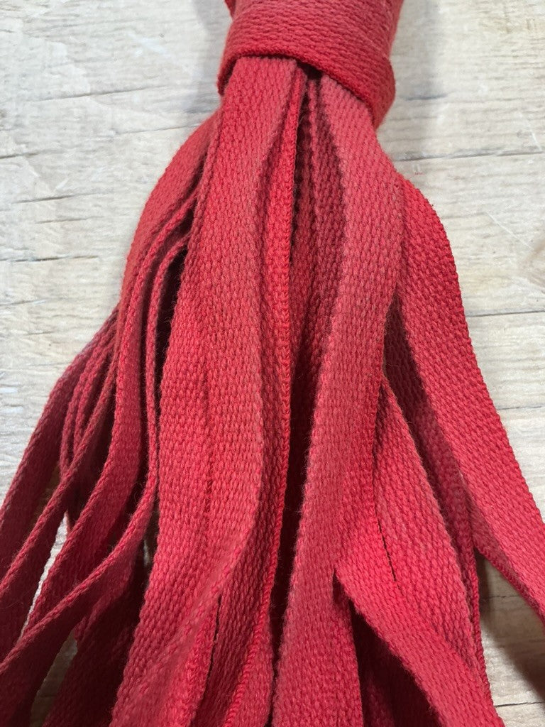 Dog Leash – Red, 50 ft | Used