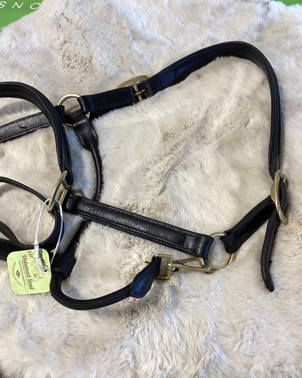 Halter leather Warmblood/Lg