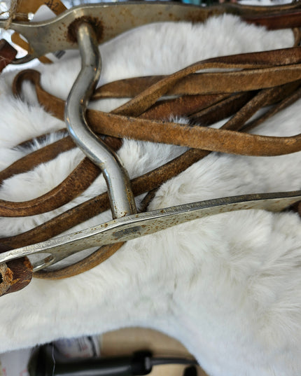 Bit and Reins #2