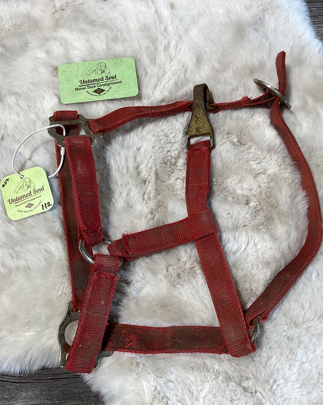 Halter Nylon Red