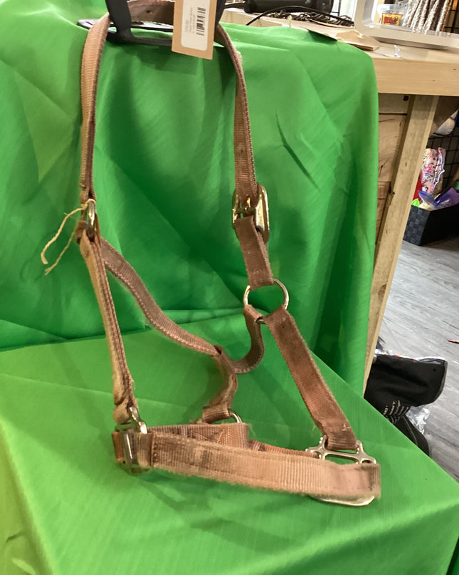Halter Nylon Light Brown